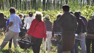 Anuncian una nueva edición de la Fiesta del Vino Patero en Ingeniero Huergo