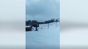 Video: llegaron las primeras nevadas del año en San Martín de los Andes y Pehuenia