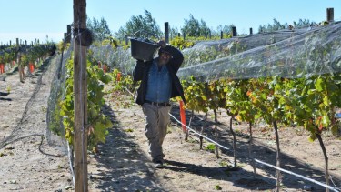 El ministro de trabajo de Río Negro y la secretaria de trabajo de Santiago del Estero acordaron las normas conjuntas para la temporada de trabajo migrante que se desarrollará en Río Negro.  (Foto: Gentileza)