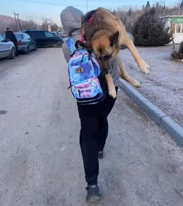 Una mujer lleva a su perro con displasia de cadera a través de la frontera con Polonia. 