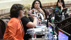 Acuerdo con el FMI: la senadora de Neuquén  Silvia Sapag se abstendrá «por razones familiares»