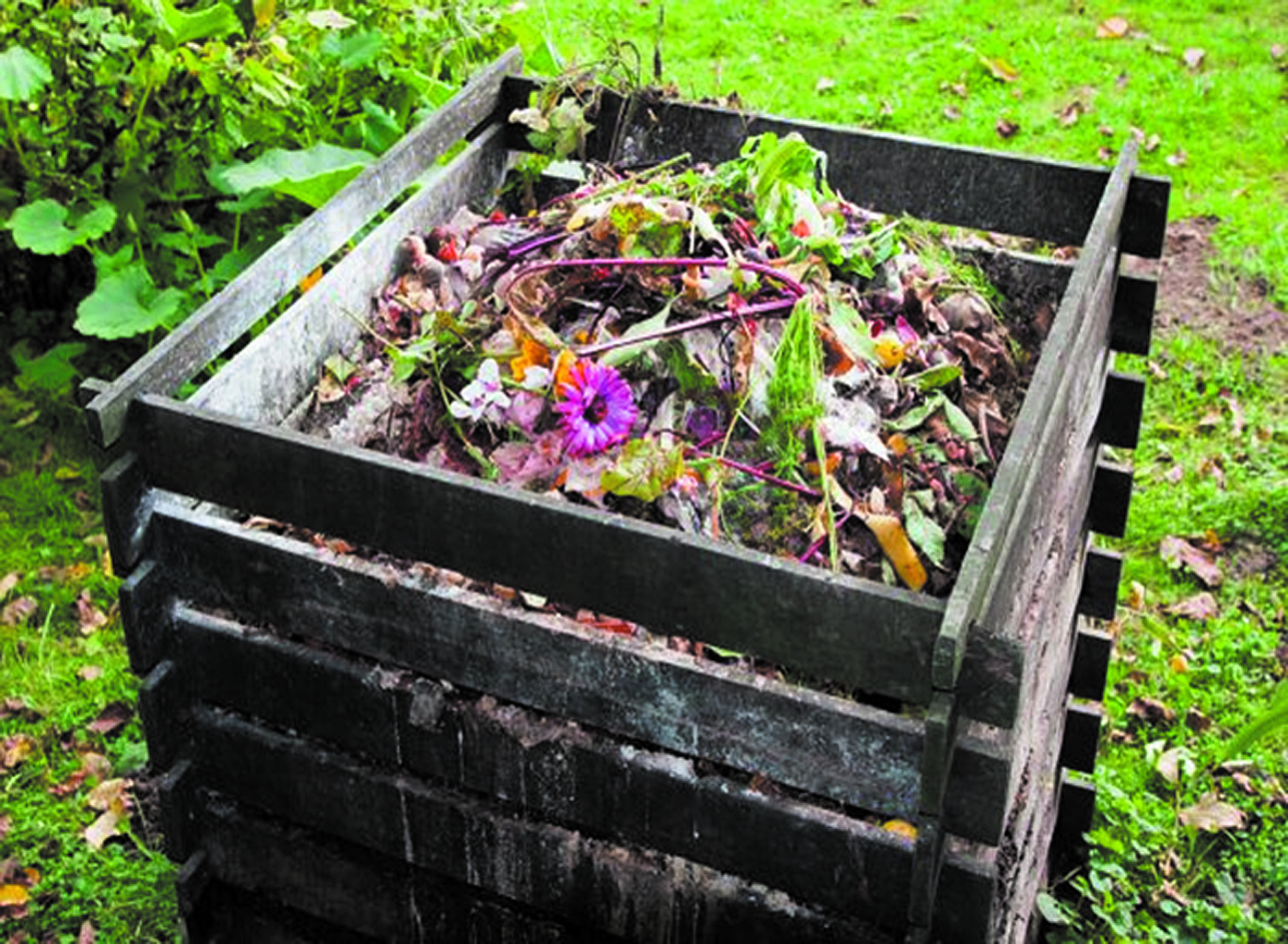 Residuos vegetales que pueden compostarse.
