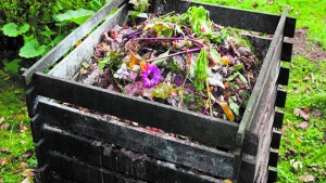 Mes del compostaje: UNRN promueve el reciclaje de residuos orgánicos en Bariloche