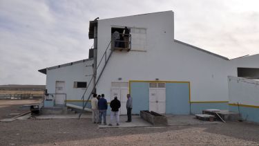 Los trabajadores despedidos de indemnizados. Foto: Archivo.