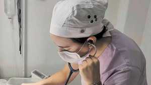 El anestesista y los animales en las prácticas quirúrgicas