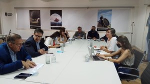 Asfalto, cloacas y cámaras de seguridad, obras gestionadas para Regina