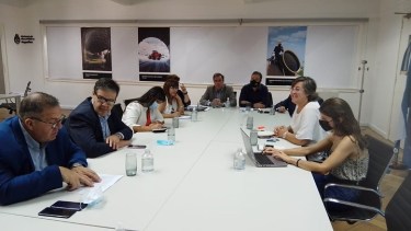 Asfalto, cloacas y cámaras de seguridad, obras gestionadas para Regina