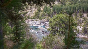 Los mágicos pozones del Caleufú: por qué es imprescindible conocerlos