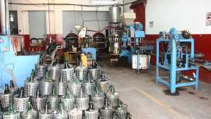 Fiesta de la Vendimia 2022: Un buen presente para los vinos de la zona