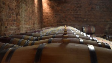 Toneles en Bodega Humberto Canale.