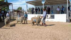 Roca: la Expo Rural Ovina cierra su exhibición con varios desafíos y compromisos políticos