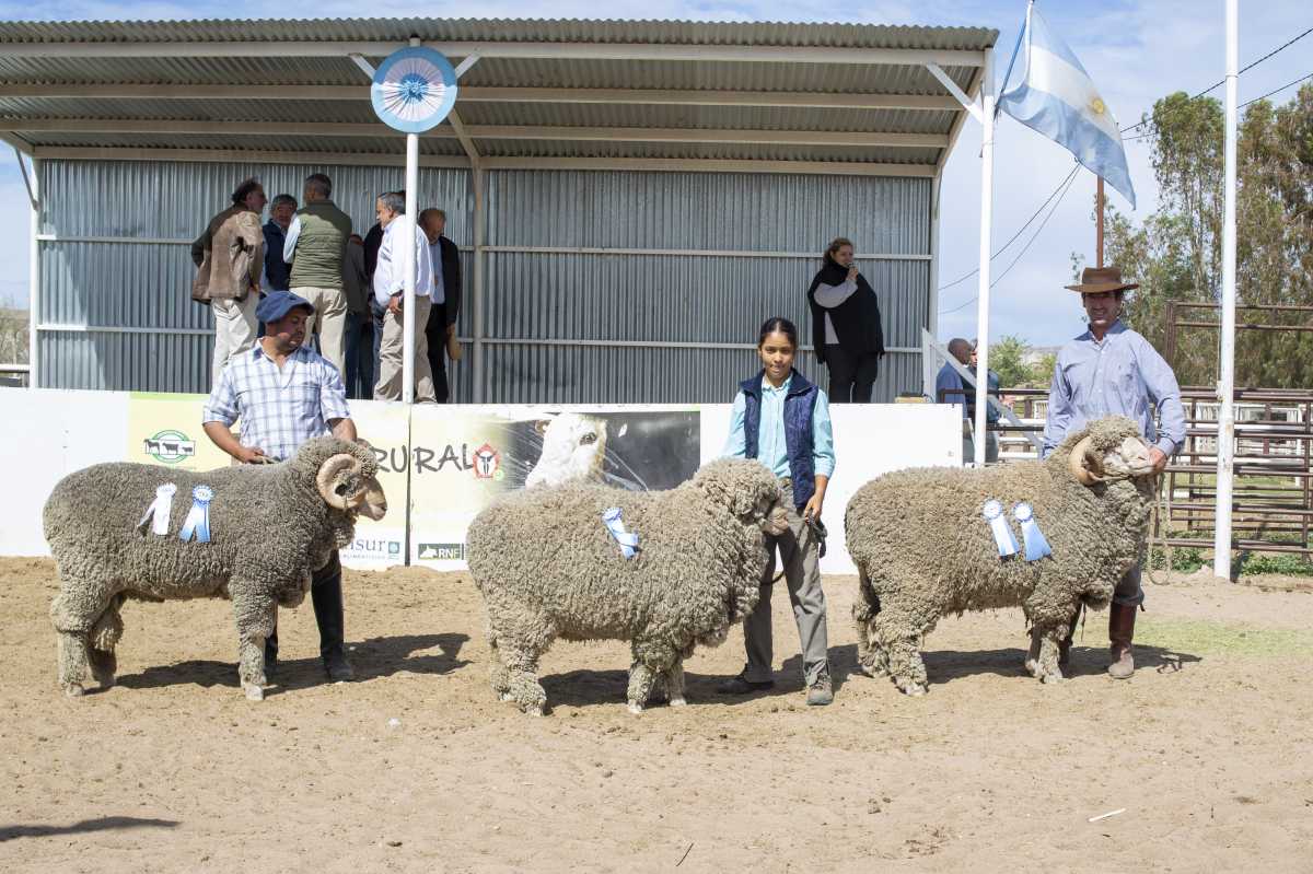 Bajo una cálida jornada, la Expo Rural Ovina realizó la apertura de su último día de exhibición en Roca. Fotos Juan Thomes.