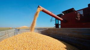 Gobierno cerró las exportaciones de harina y aceite de soja y temen que suban las retenciones