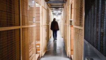 Más de 18 mil cajas en el búnker alemán que tenía billones de billetes. Foto: (INA FASSBENDER/AFP)