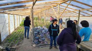 Hace unos días una delegación de productores, técnicos y referentes municipales y de distintos organismos, visitaron Trailacahue. Foto: Gentileza. 