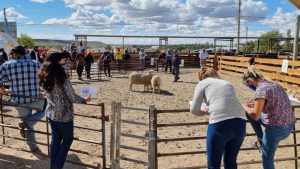 Nueva edición de la Feria Integral de la Producción en Zapala