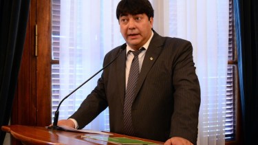 Arroyo fue electo legislador por JSRN para el período 2015-2019.