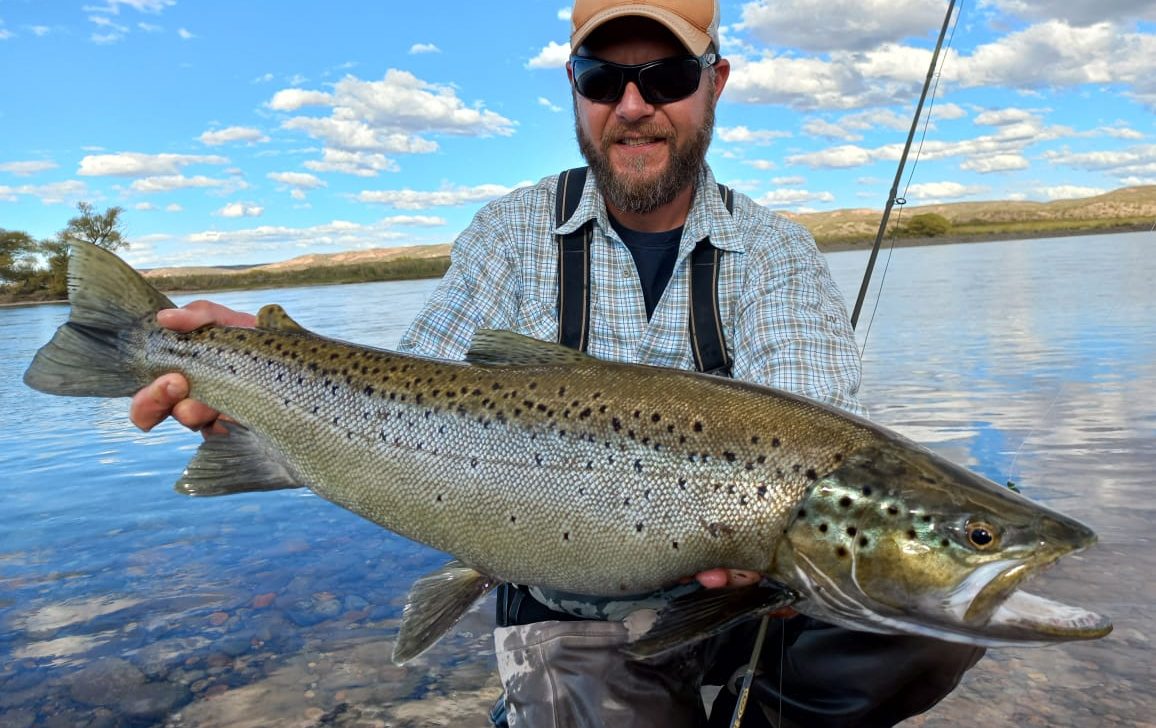 César "Ruso" Castellano y la gran trucha marrón migratoria que pescó el sábado pasado en el Limay Medio, cerca de la desembocadura, al norte de la Patagonia. 