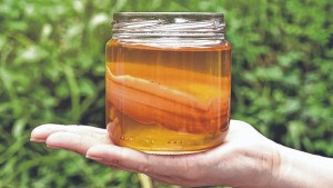 Científicos apoyan las producciones de kombucha, el té fermentado