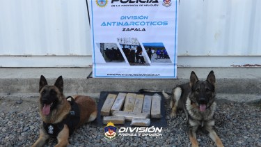 La marihuana fue empaquetada en panes. Foto: Policía de Neuquén