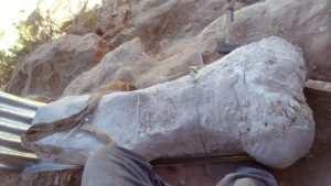 Lograron rescatar los restos de un dinosaurio en el Parque Norte de Neuquén