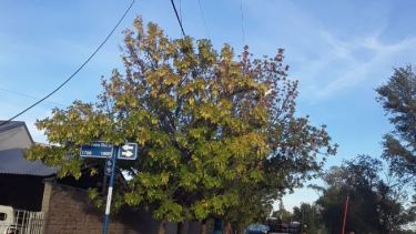 Trabajadores de la empresa se encuentran trabajando en el lugar del corte de cable de media tensión que dejó sin luz a muchos vecinos de Roca. Foto gentileza