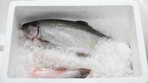 Tips para saber comprar pescado fresco en esta Semana Santa