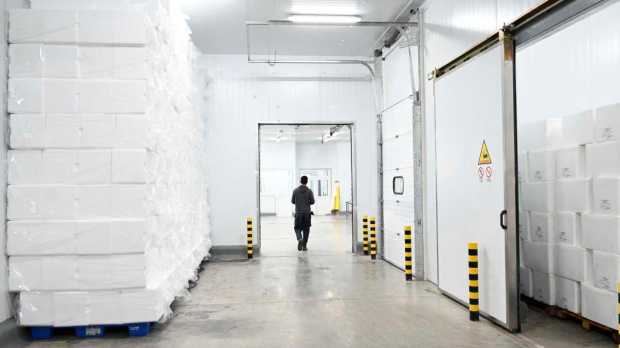 Imagen La planta de Piedra del Águila ya exportó hacia Chile 300 toneladas de truchas