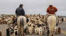 Imagen de Norte neuquino: viaje a la tierra de los arrieros y su vida de libertad y autonomía