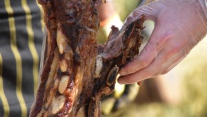 Río Colorado propone e invita a la fiesta del asado a la cruz este fin de semana