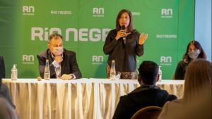 Recorte del subsidio al transporte: cautela de la gobernadora Carreras