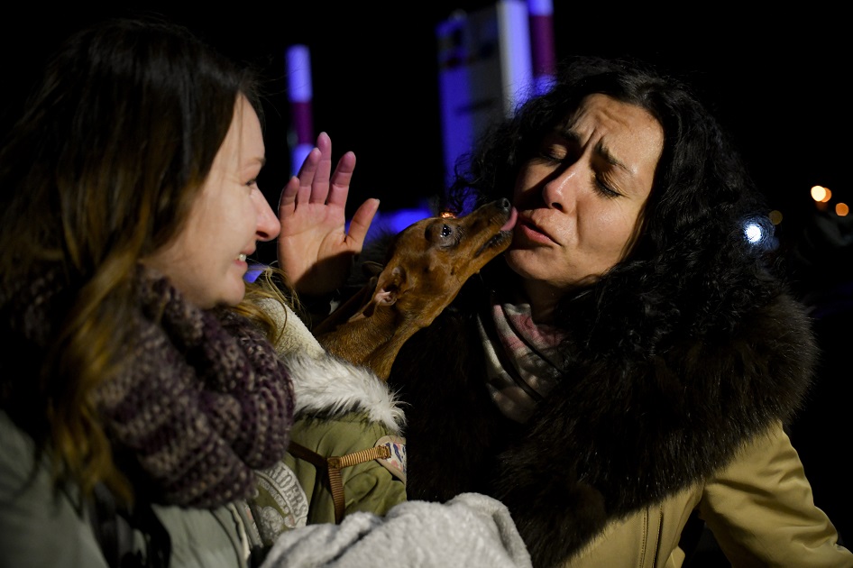 Una perra llamada Josephine lame a una mujer ucraniana que se reunió con su hermana después de cruzar la frontera entre Ucrania y Rumania, en Siret, Rumania (AP Photo/Andreea Alexandru)