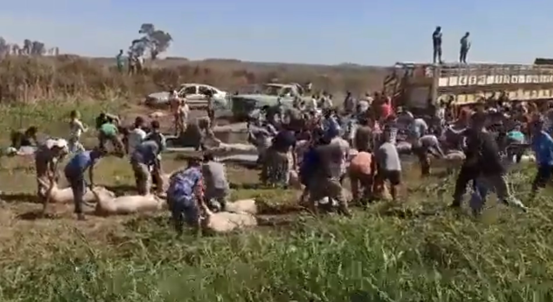 Varios videos registraron los momentos posteriores al accidente. 