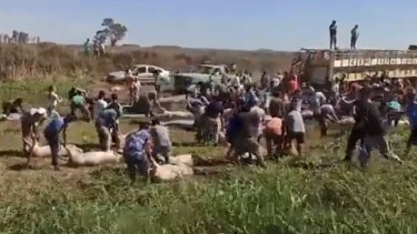 Varios videos registraron los momentos posteriores al accidente. 