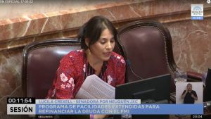 La senadora de Neuquén Lucila Crexell también se abstendrá en el acuerdo con el FMI