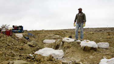 El Instituto de Investigación en Paleobiología y Geología en Río Negro recibe becarios e investigadores extranjeros