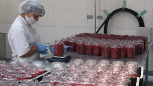 Por fuera de las peras y manzanas, productos de Río Negro se insertan en el mercado exterior