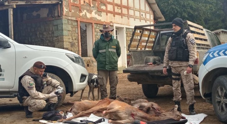 En uno de los controles en la ruta provincial 80 se secuestró ciervos cazados de manera ilegal. Foto: Gentileza