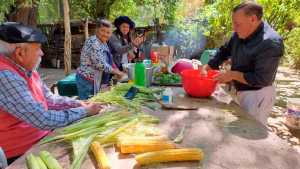 La Fiesta del choclo y las humitas se saborea en el Paraje El Sauce