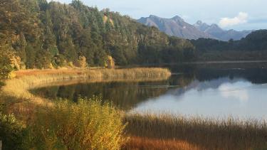 La Laguna El Trébol es una reserva natural municipal ubicada a casi 20 kilómetros del centro de Bariloche, en una zona urbanizada.  (foto gentileza)