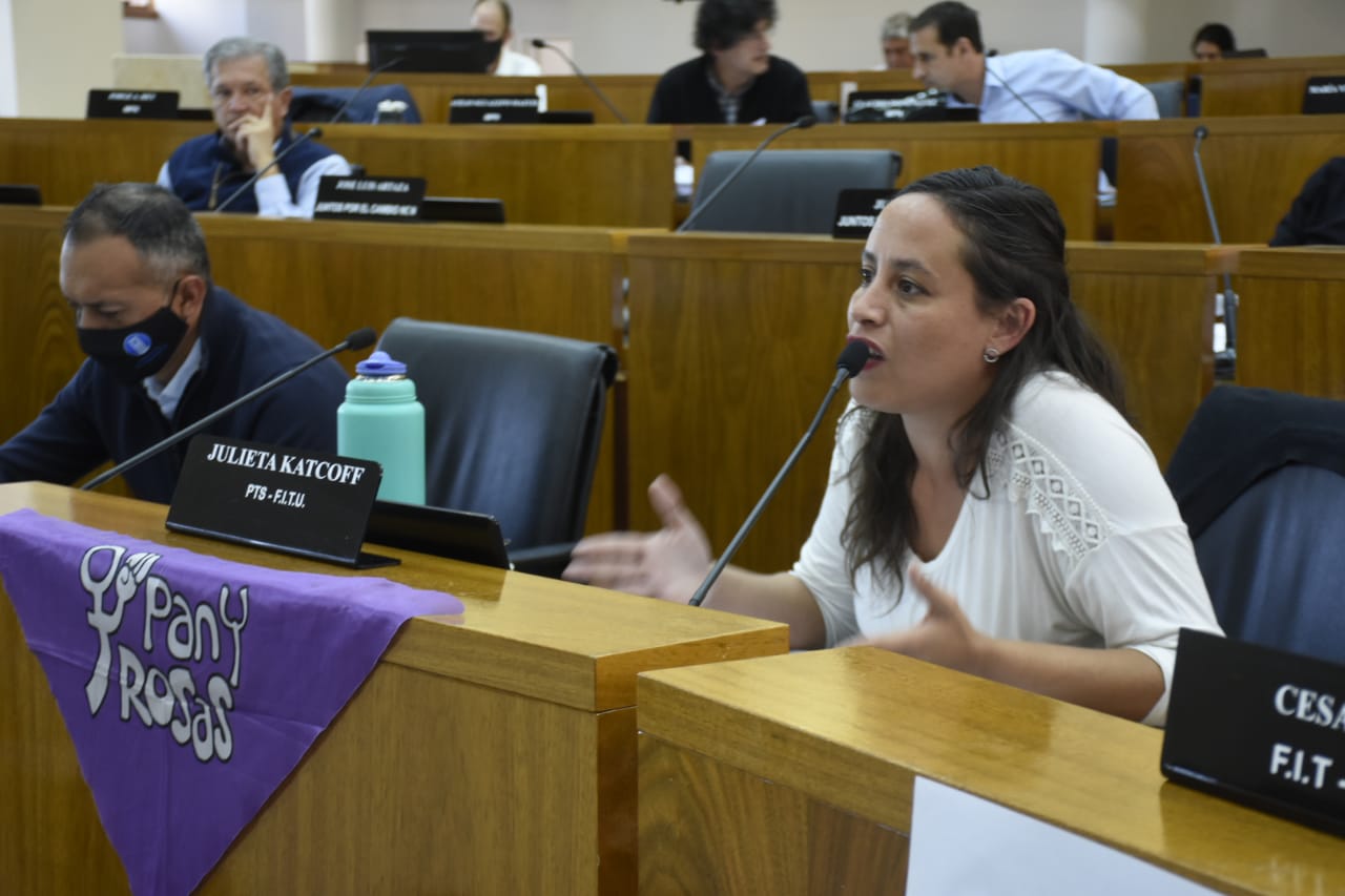 La Legislatura de Neuquén comenzará a tratar el proyecto de declaración de Emergencia en Violencia de Género, impulsado por Julieta Katcoff y otras referentes de Pan y Rosas. (Foto Juan Thomes).