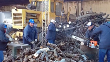 El municipio de Mainqué no comprará leña para distribuir entre los vecinos este año. (Foto Néstor Salas)