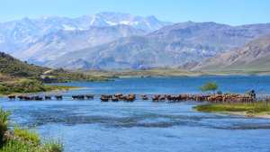 Las mil maravillas del norte neuquino en la cámara del fotógrafo guardafauna