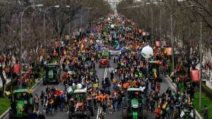 Miles de productores agropecuarios protestaron en Madrid por la situación del sector