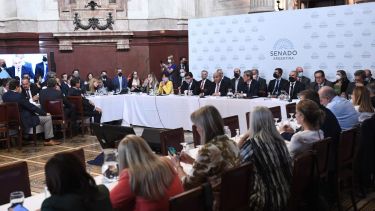 La Comisión de Presupuesto del Senado aprobó el dictamen.