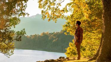 “Pehuén vivo” es el homenaje desde lo profundo de las raíces, a este árbol ancestral que reafirma la existencia, vinculando el pasado con el presente. Fotos gentileza: Turismo Aluminé.