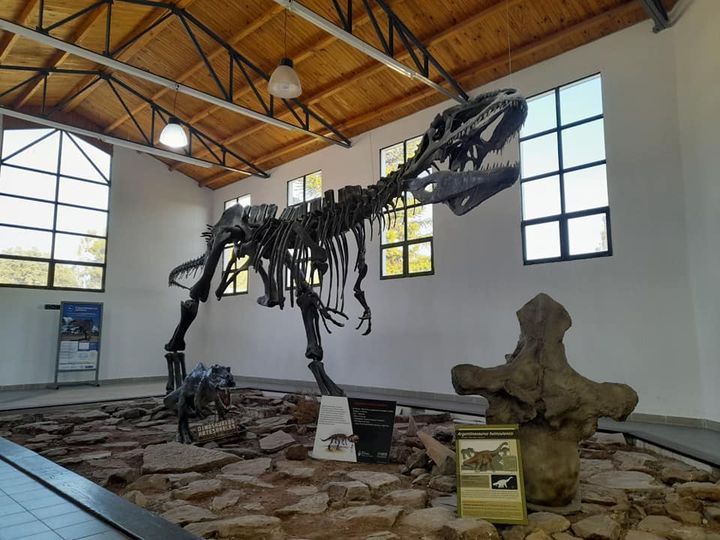 Los dinosaurios protagonistas de Jurassic World Dominion viven en los  museos de la Patagonia
