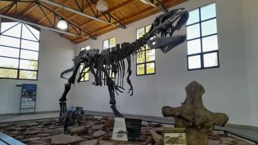 El museo Ernesto Bachmann del Chocón alberga los dinosaurios más impresionantes. Foto: Archivo. 