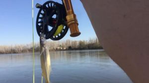 Los mejores lugares para ir a pescar en Semana Santa: al río o al mar