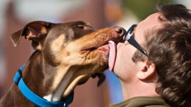 “Nos compete a todos como sociedad”, afirma  el médico veterinario Juan Manuel Montenegro.